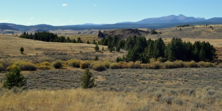 More of the massive pastures of Montana