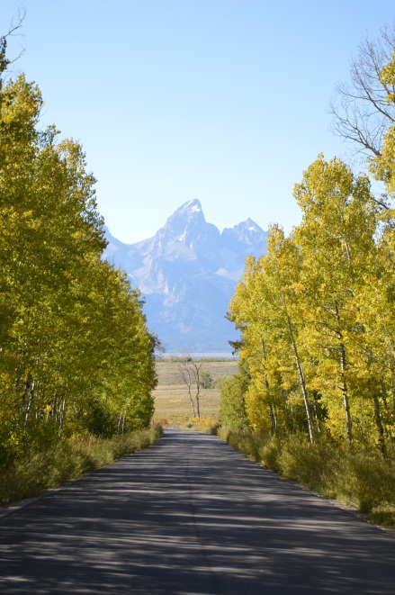 A different view of the Grand Teton from a road in the national forest