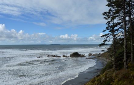 Where the Pacific meets Washington state.