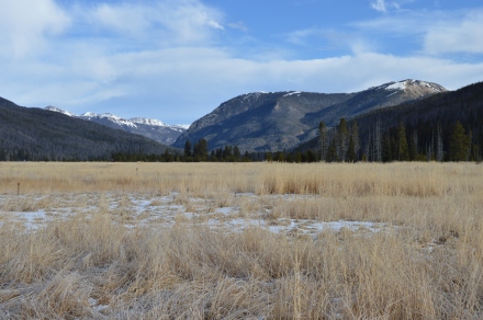 A meadow in Rocky Mountain National Park.