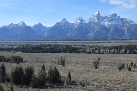 After seeing many new mountain ranges in the U.S., the Tetons still top my list.