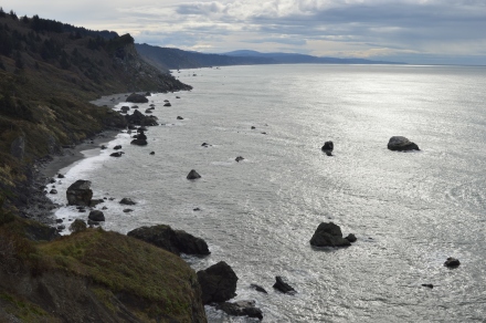 Getting closer to the border of California/Oregon, the coastline slowly began to change